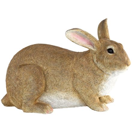 DA-CONEJO-008 -1-.jpg